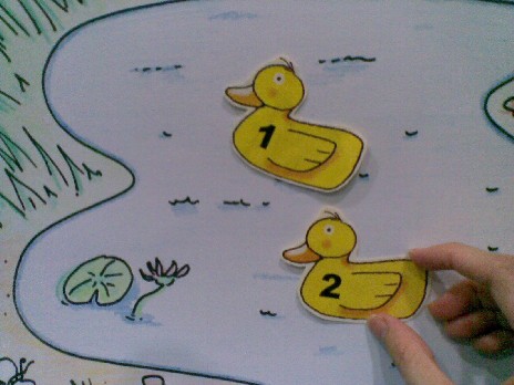 ducks1